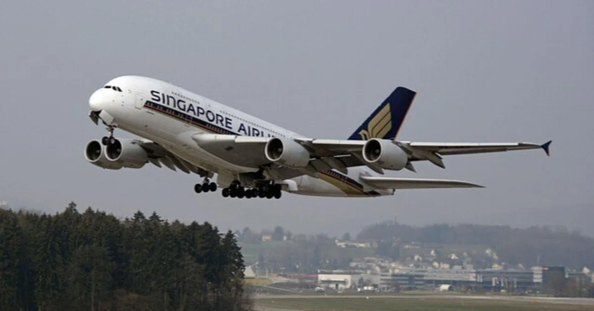 【ルミネ様】物流・税関・配送サポートPJ ― 日本ブランドの海外展開を支える“現場実行力”